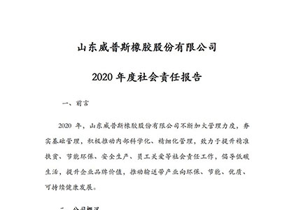 2020年度社會(huì)責(zé)任報(bào)告