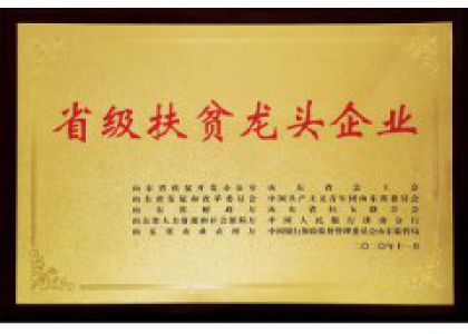 省級(jí)扶貧龍頭企業(yè)